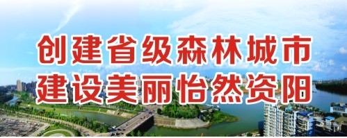 日老肥B创建省级森林城市 建设美丽怡然资阳