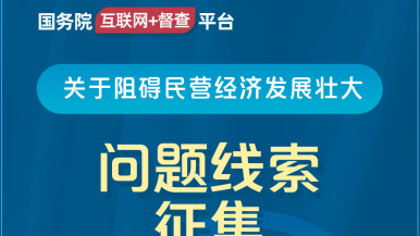 啊啊啊啊啊视频网站17C国务院“互联网+督查”平台公开征集阻碍民营经济发展壮大问题线索